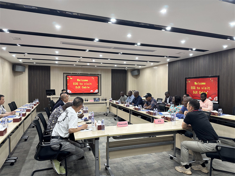 Καλώδιο ηλεκτρικής ενέργειας, καλώδιο ελέγχου, καλώδιο κατασκευής, Dongjiaxin, καλώδιο DJX, εργοστάσιο καλωδίων της Κίνας, κατασ