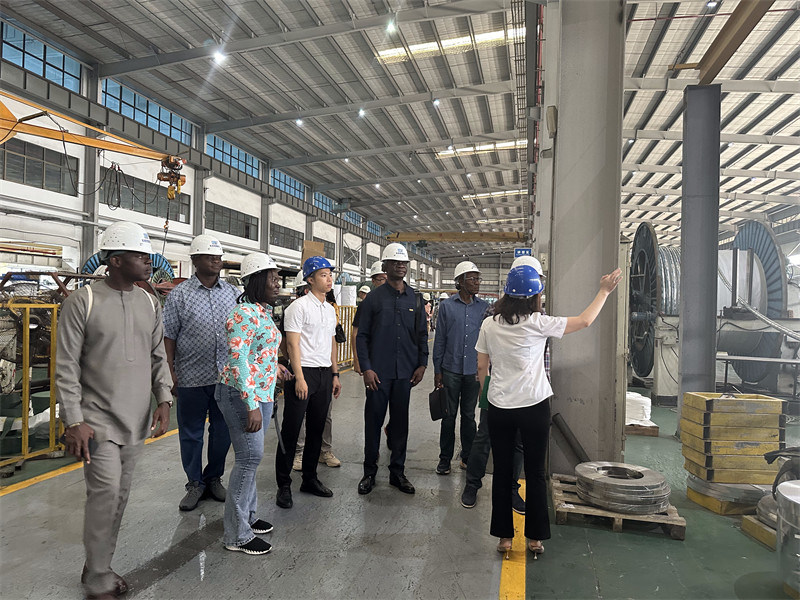 Καλώδιο ηλεκτρικής ενέργειας, καλώδιο ελέγχου, καλώδιο κατασκευής, Dongjiaxin, καλώδιο DJX, εργοστάσιο καλωδίων της Κίνας, κατασ