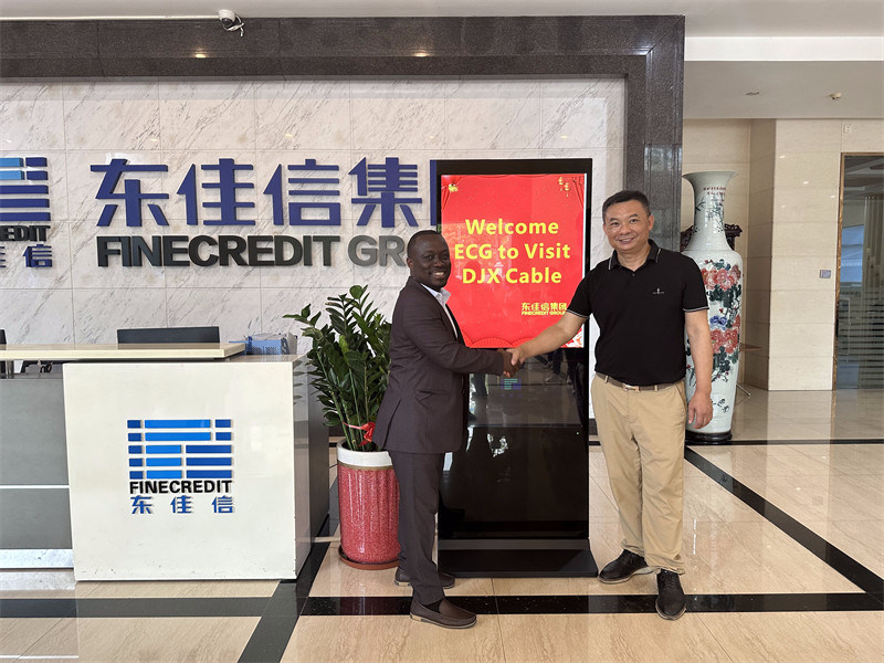 Καλώδιο ηλεκτρικής ενέργειας, καλώδιο ελέγχου, καλώδιο κατασκευής, Dongjiaxin, καλώδιο DJX, εργοστάσιο καλωδίων της Κίνας, κατασ