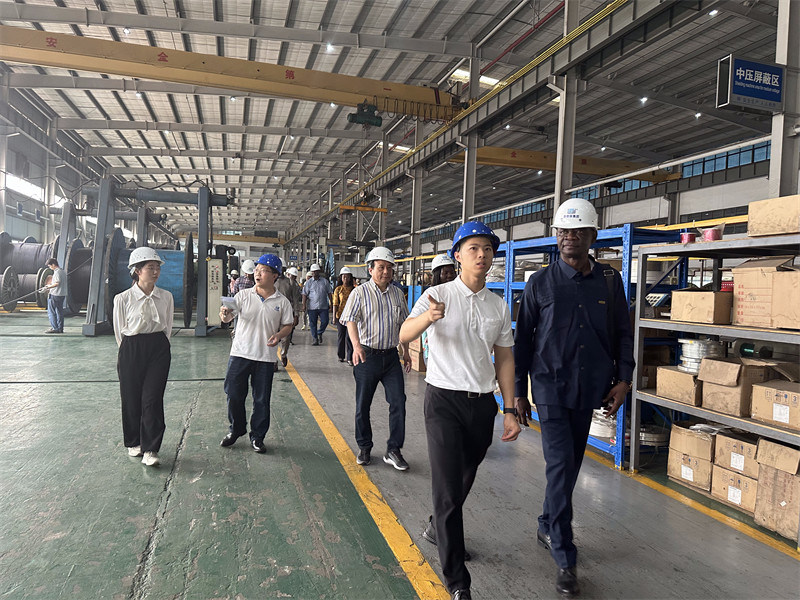 Καλώδιο ηλεκτρικής ενέργειας, καλώδιο ελέγχου, καλώδιο κατασκευής, Dongjiaxin, καλώδιο DJX, εργοστάσιο καλωδίων της Κίνας, κατασ